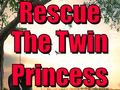 Laro Rescue The Twin Princess