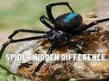 Laro Spider Hidden Difference