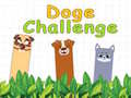 Laro Doge Challenge