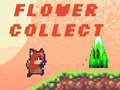 Laro Flower Collect