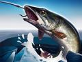 Laro Ice Fishing 3D