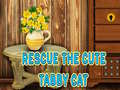 Laro Rescue The Cute Tabby Cat
