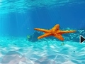 Laro Escape From Underwater Starfish