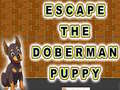Laro Escape The Doberman Puppy