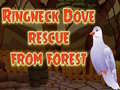 Laro Ringneck Dove Rescue From Forest