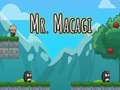 Laro Mr Macagi