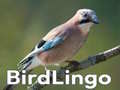 Laro BirdLingo