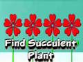 Laro Find Succulent Plant