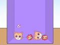 Laro Evolution of Cat Memes
