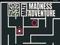 Laro Maze Madness Adventure