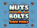 Laro Nuts and Bolts Screw Puzzle