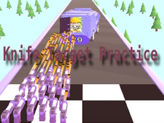 Laro Knife Target Practice