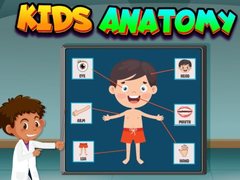 Laro Kids Anatomy