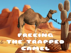 Laro Freeing the Trapped Camel