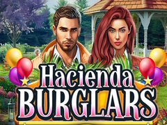Laro Hacienda Burglars