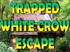 Laro Trapped White Crow Escape
