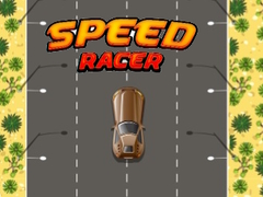 Laro Speed Racer