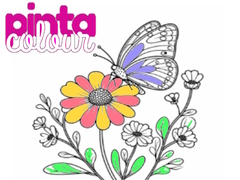 Laro Pinta Colour