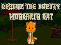 Laro Rescue The Pretty Munchkin Cat