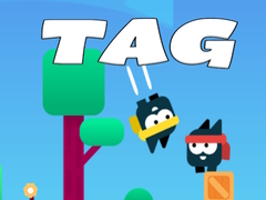 Laro Tag