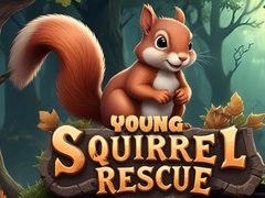 Laro Young Squirrel Rescue
