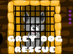 Laro Grey Dog Rescue