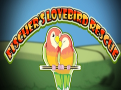 Laro Fischer's Lovebird Rescue