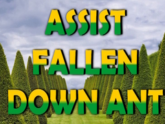 Laro  Assist Fallen Down Ant
