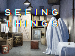 Laro Seeing Things