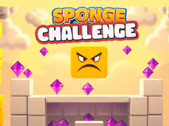 Laro Sponge Challenge