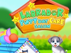 Laro Labrador Puppy Daycare Salon