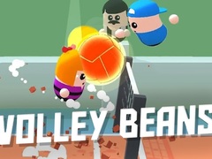 Laro Volley Beans