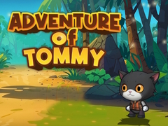 Laro Advanture Of Tommy