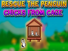 Laro Rescue the Penguin Chicks from Cage