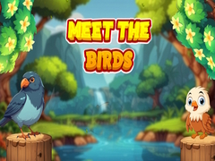 Laro Meet The Birds 