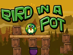 Laro Bir In a Pot