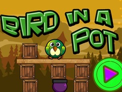 Laro Bird In A Pot