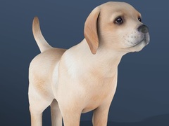 Laro IDLE Pet