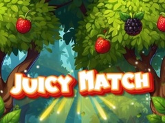 Laro Juicy Match