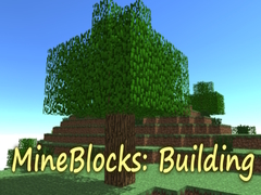 Laro MineBlocks: Building