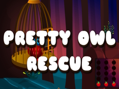 Laro Pretty Owl Rescue