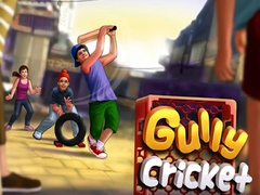 Laro Gully Cricket
