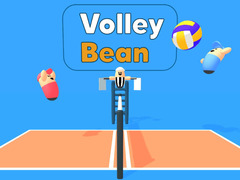 Laro Volley Bean