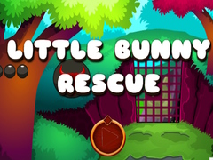 Laro Little Bunny Rescue