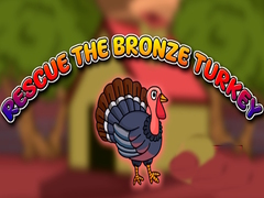 Laro Rescue the Bronze Turkey