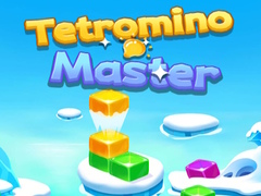 Laro Tetromino Master