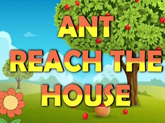 Laro Ant Reach the House