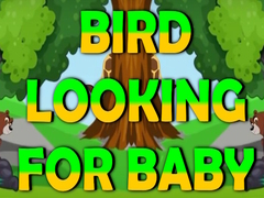 Laro Bird Looking For Baby