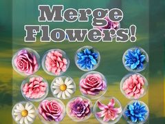 Laro Merge Flowers!
