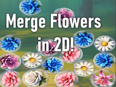 Laro Merge Flowers in 2D!